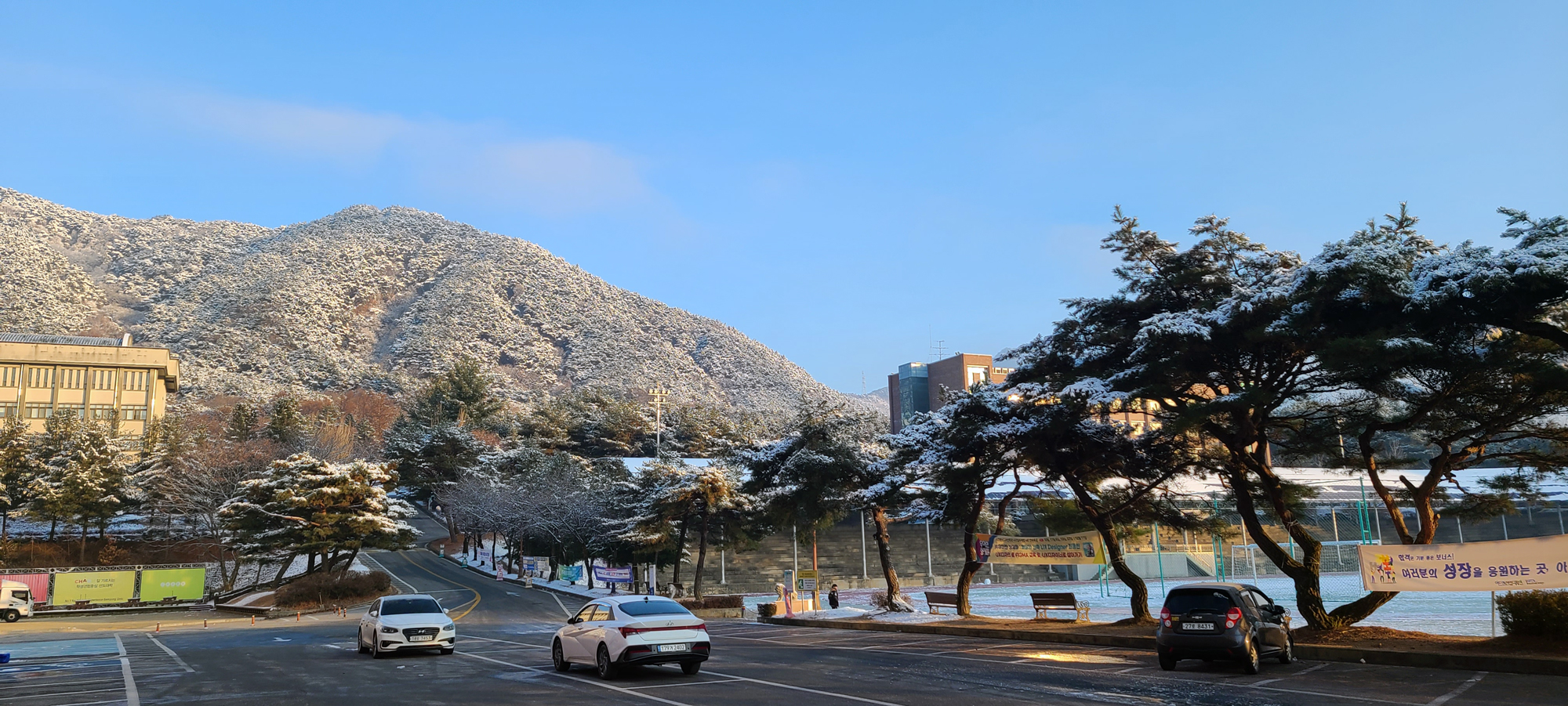 [설경] 세명대학교 설경